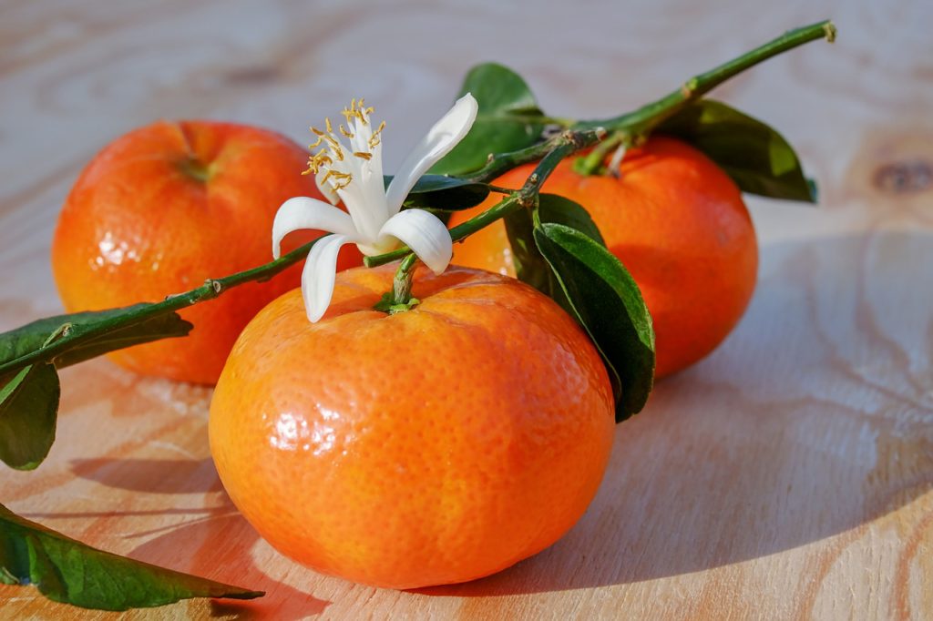 tangerines help to lose weight