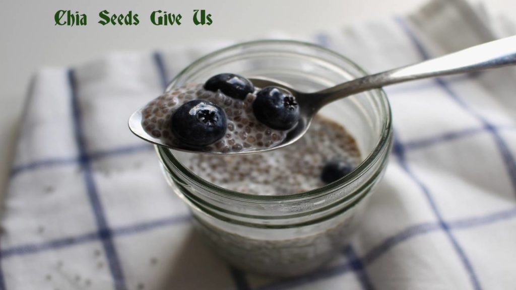 Chia Seeds Give Us