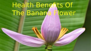 The Banana Flower