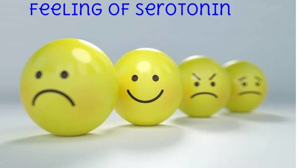 SEROTONIN 