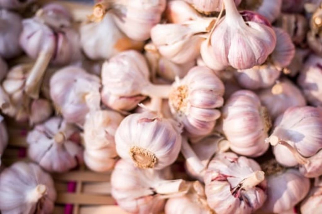 Garlic for Arthritis 