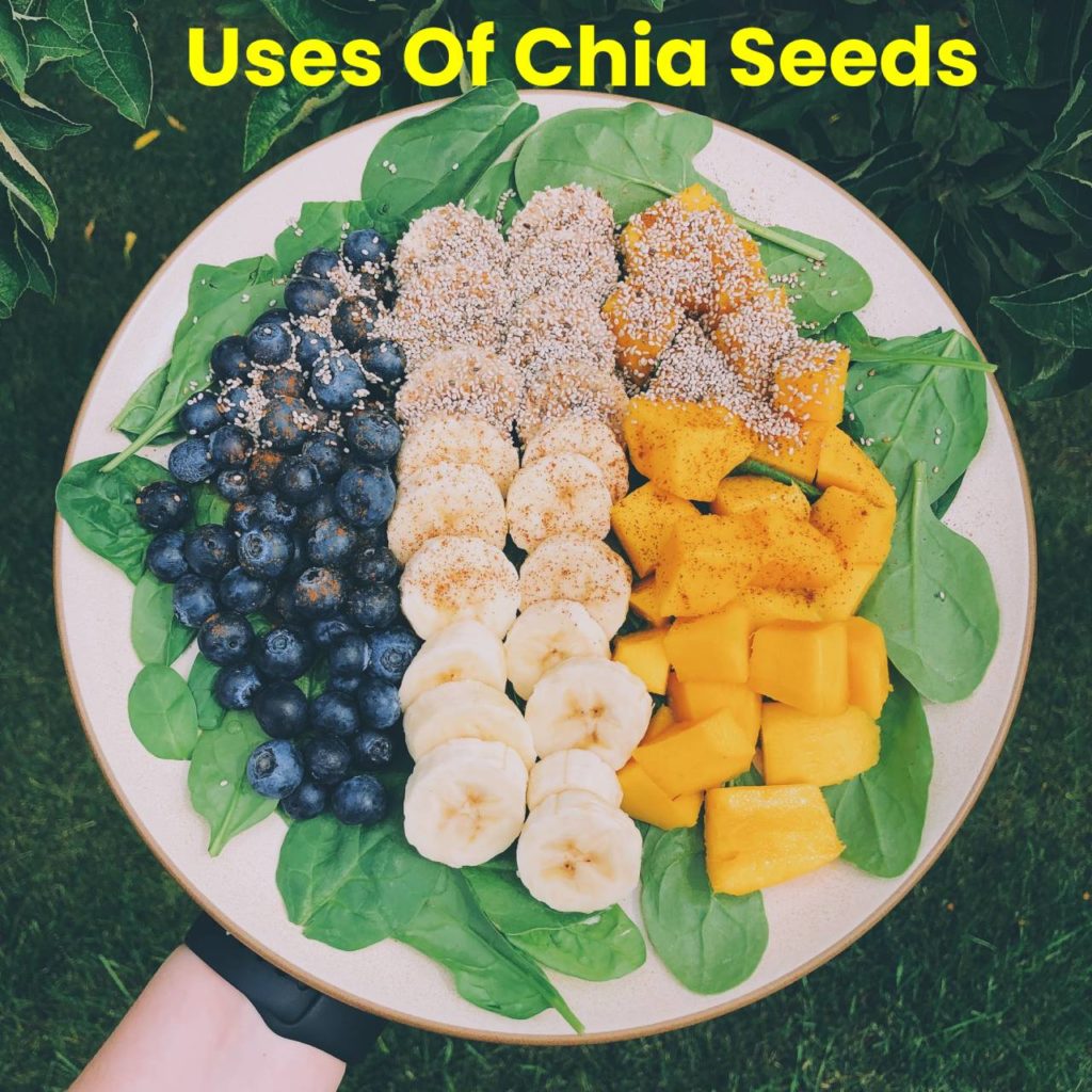 Uses of chia seeds