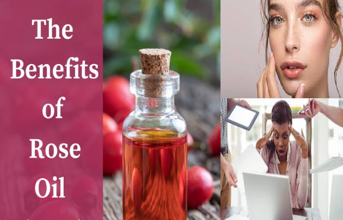 rosehip oil