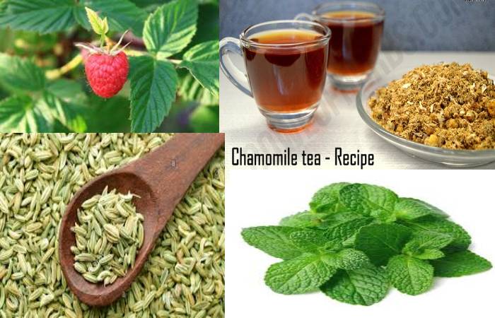 chamomile tea 
