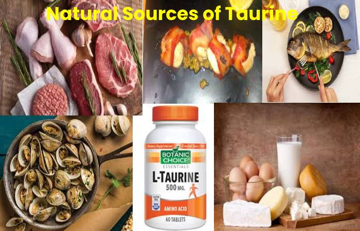 Natural Sources of Taurine
