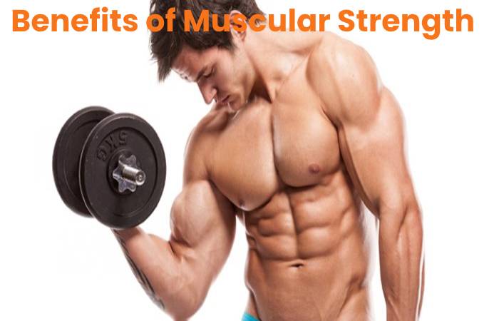 muscular strength