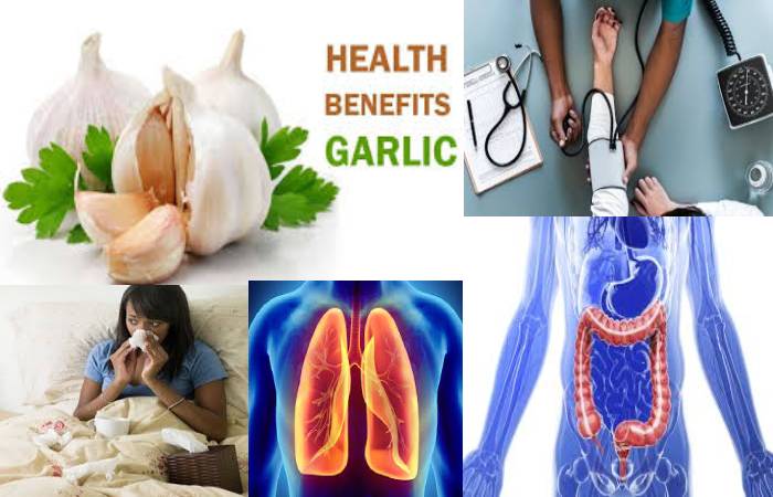 garlic