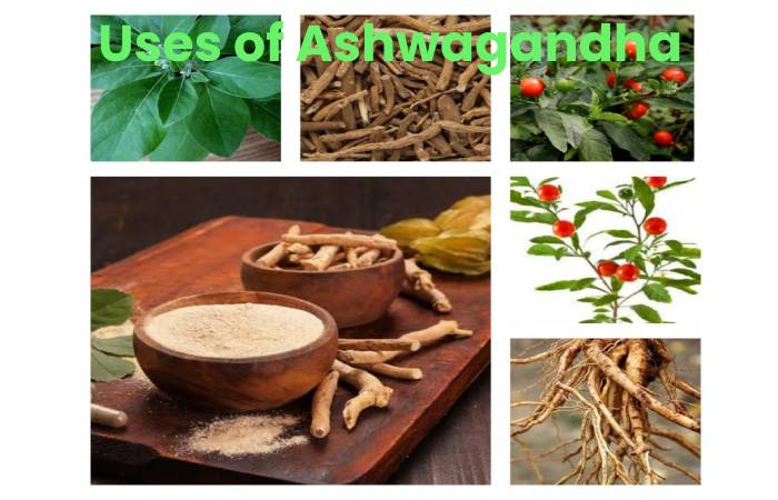 ashwagandha