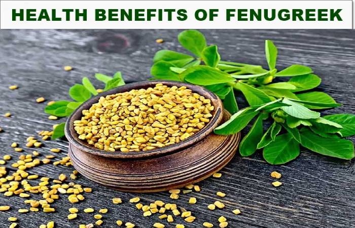 fenugreek