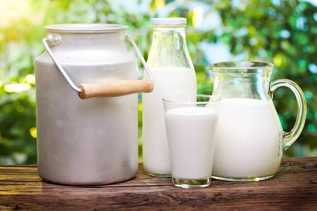 What Is The Meaning Of Chilled Milk In Hindi