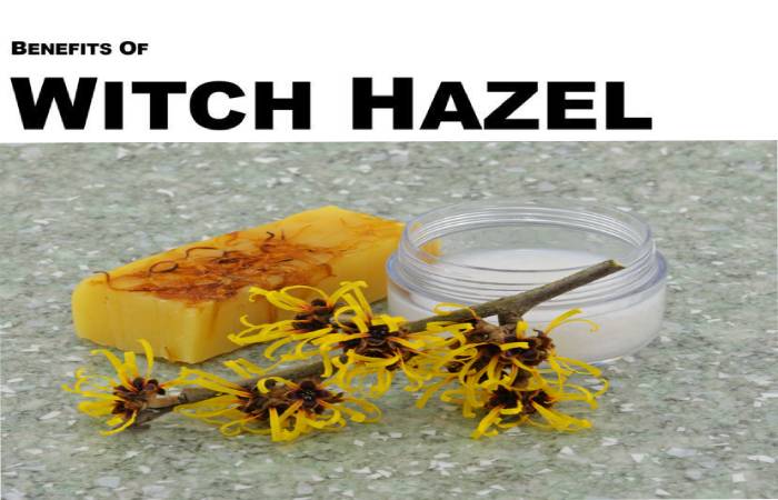 witch hazel