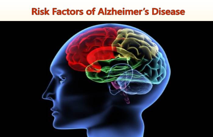 alzheimer's disease