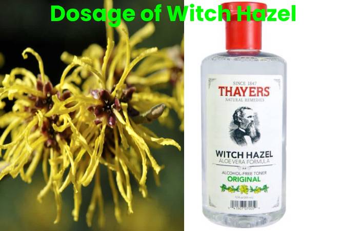 witch hazel