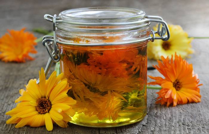 Calendula oil