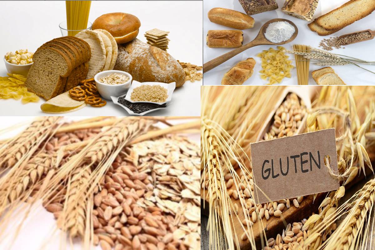 What Is Gluten Definition Composition Uses Diagnoses And More