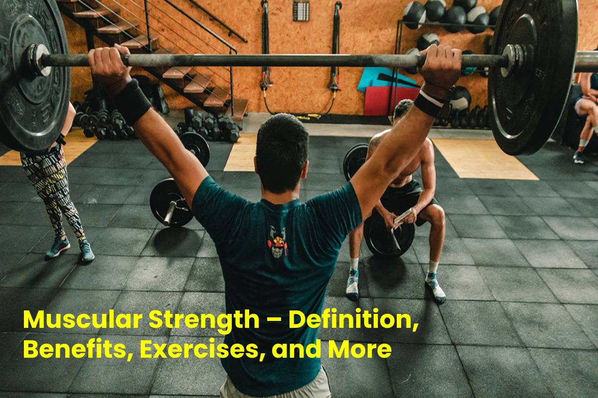 Muscular Strength Definition Benefits Exercises And More